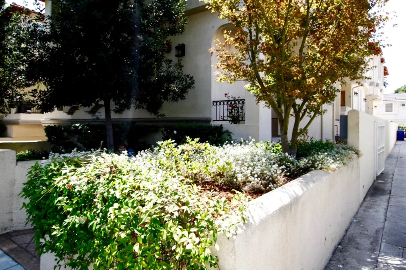 The landscaping around Culver City Gardens in Culver City