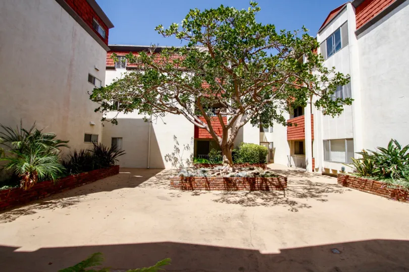 The common area in the French Quarter in Culver City
