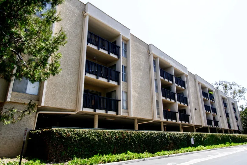 The hedges around Raintree Condominiums