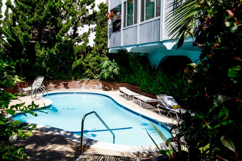 The pool at The Buckingham
