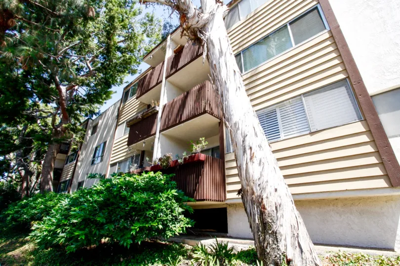 The balconies seen at The Pines