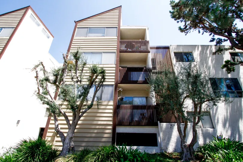 The units at The Pines in Culver City