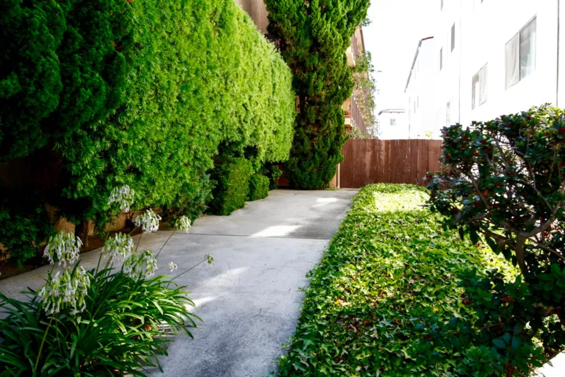 The elegant landscaping around Wynnbriar in Culver City
