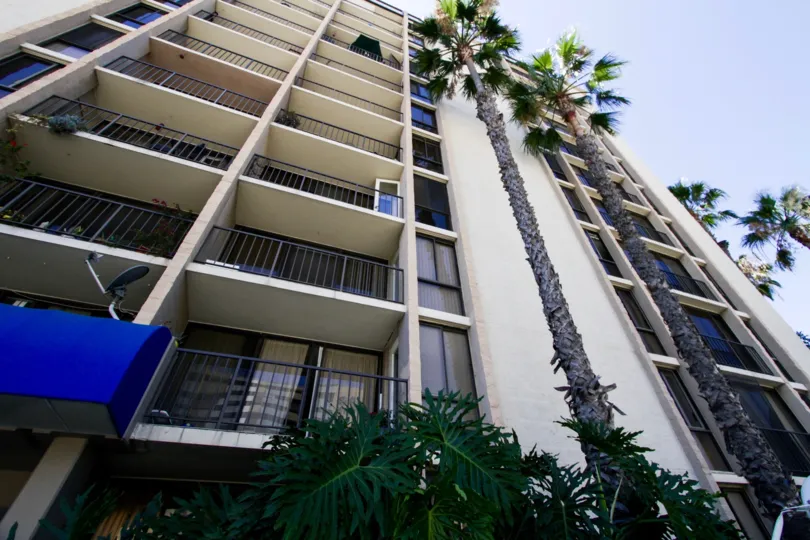 Palm trees extend up the front of Queens Surf