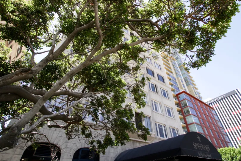 Trees covers the view of The Sovereign Condos