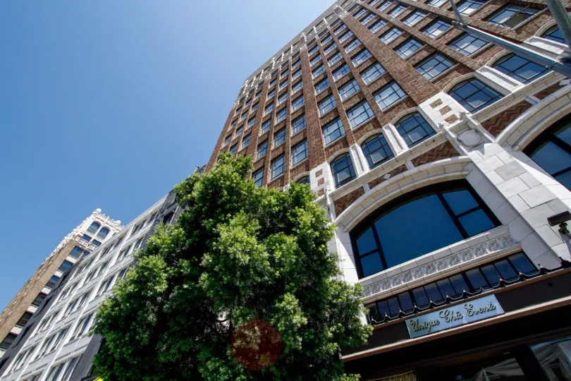 The trees around Textile Buildings in Downtown LA