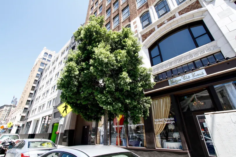 The view of Textile Buildings from the street
