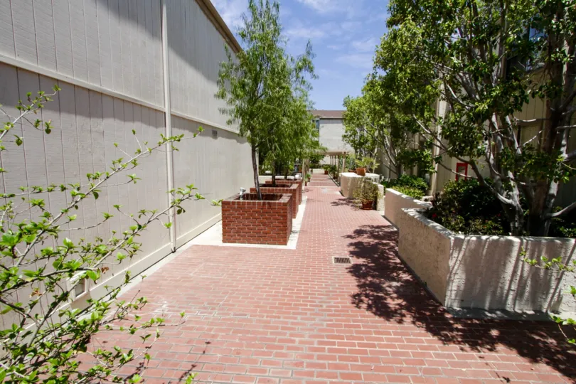 The shrubbery and landscaping around the Encino building at 17711 Margate St