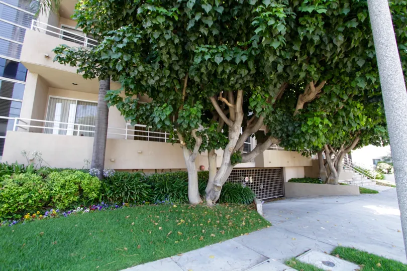 The greenery that accompanies the building at 4577 Haskell Ave