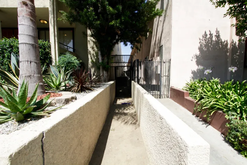 The side alley running along the Encino building at 5339 Newcatsle Ave