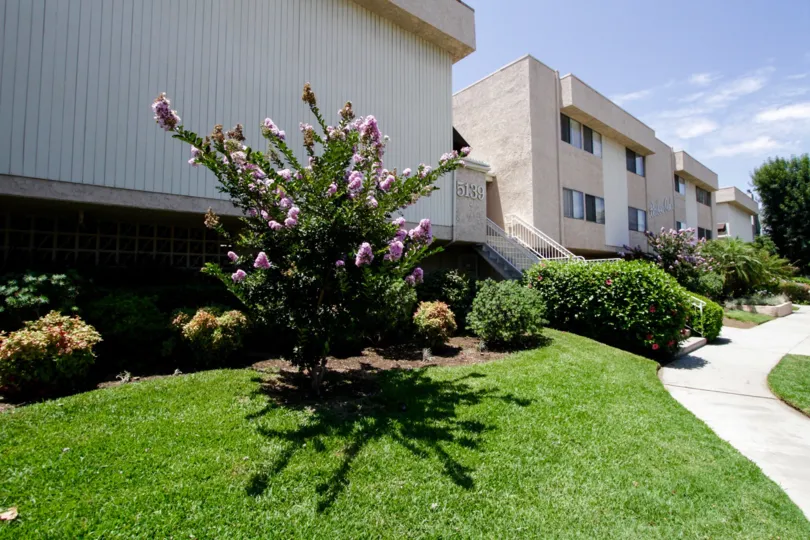 The landscaping found around the Balboa Oaks building in Encino