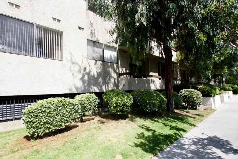 The landscaping around the Encino Horizons building