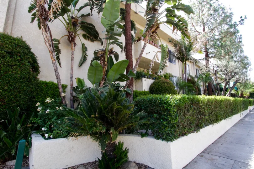 The pristne landscaping seen around Encino Newcastle in Encino