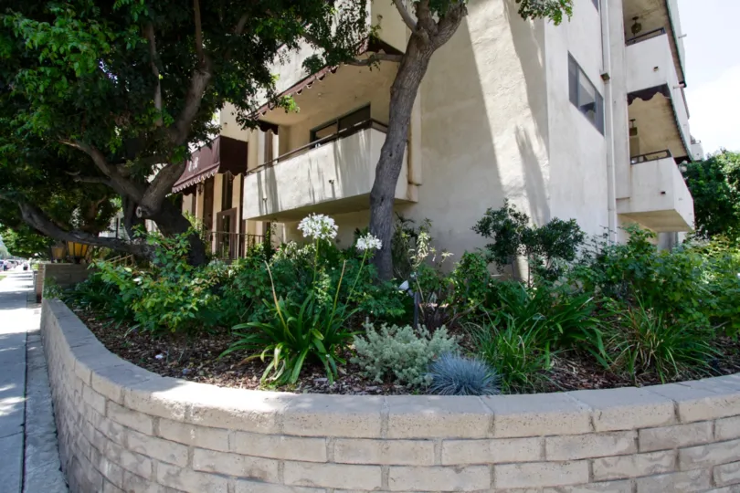 An example of landscaping surrounding the Encino Regency