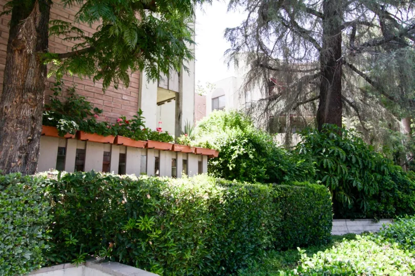 The greenery surrounding the grounds of Encino Spa South
