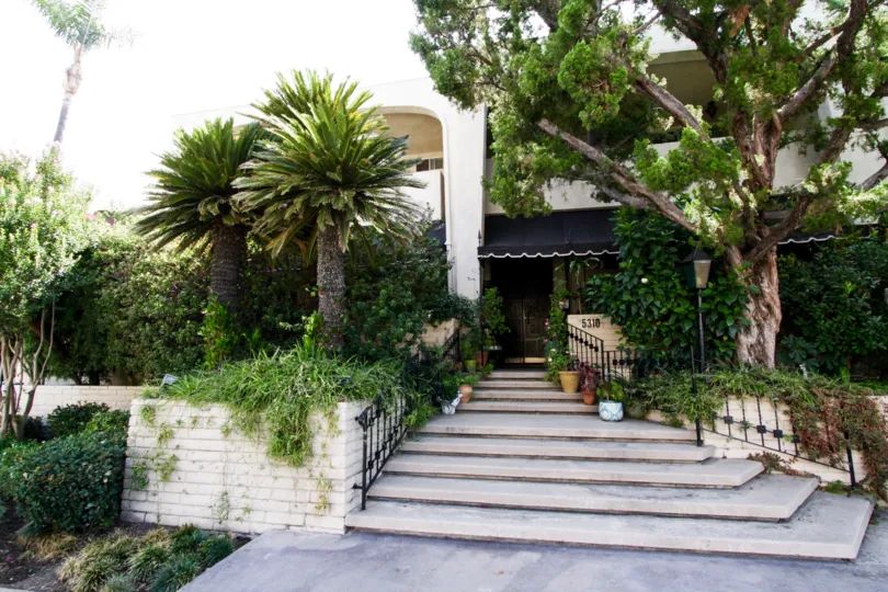 Landscaping along the Encino Spa units
