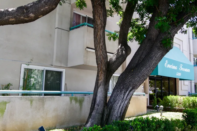 The tree growing outside of Encino Terrace adding to the landscaping