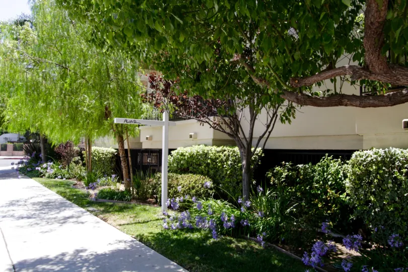 The beautiful landscaping of Encino Vista