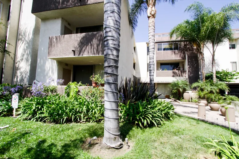 A look at the buildings within Park Encino