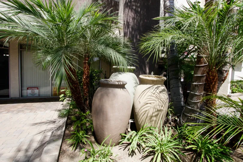 The landscaping décor seen around Park Encino