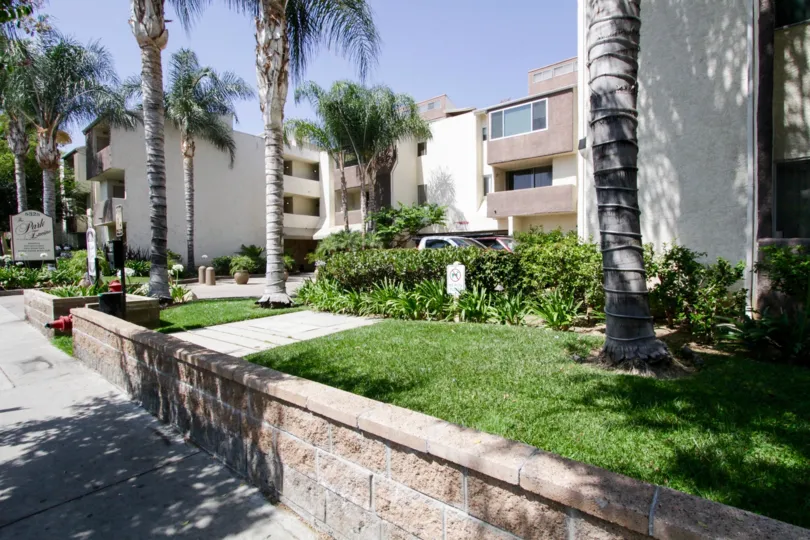 Numerous palm tress surround Park Encino adding to the appeal