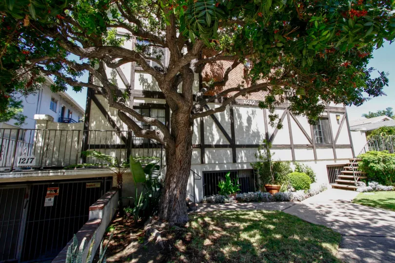 The landscaping at 1217 E Lexington Dr in Glendale California