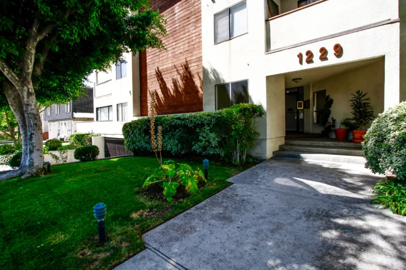 The landscaping around 1229 E Wilson Ave