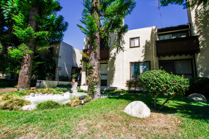 The trees seen at 1244 Valley View Rd
