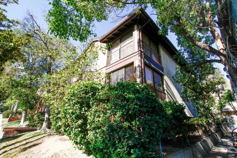 The landscapnig around 1422 N Central Ave