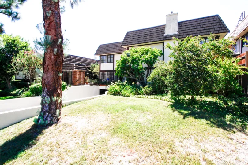 The yard outside of 1429 Valley View Rd in Glendale California