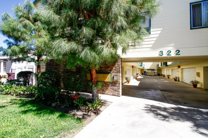 The landscaping at 322 Raymond Ave