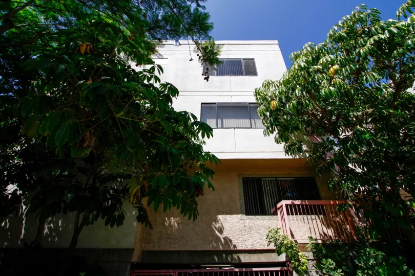 The landscaping at 345 N Jackson St in Glendale California