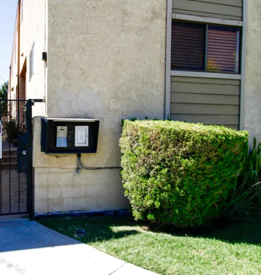 The hedges around 423 Thompson Ave