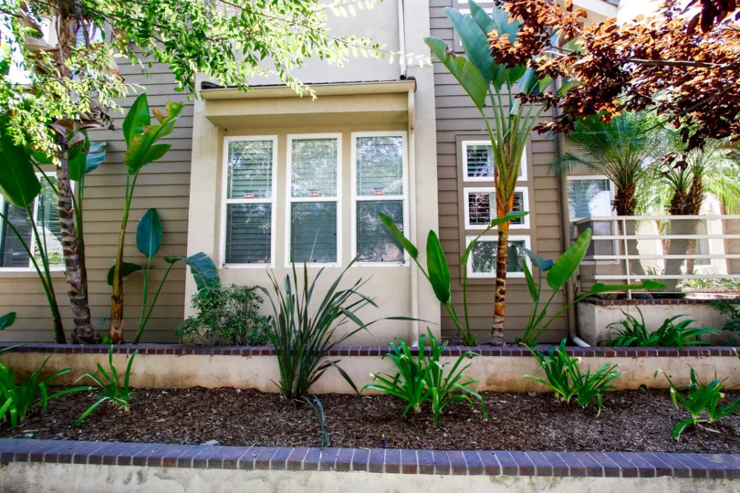The windows at 428 W California Ave