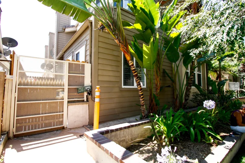 The landscaping seen throughout 428 W California Ave