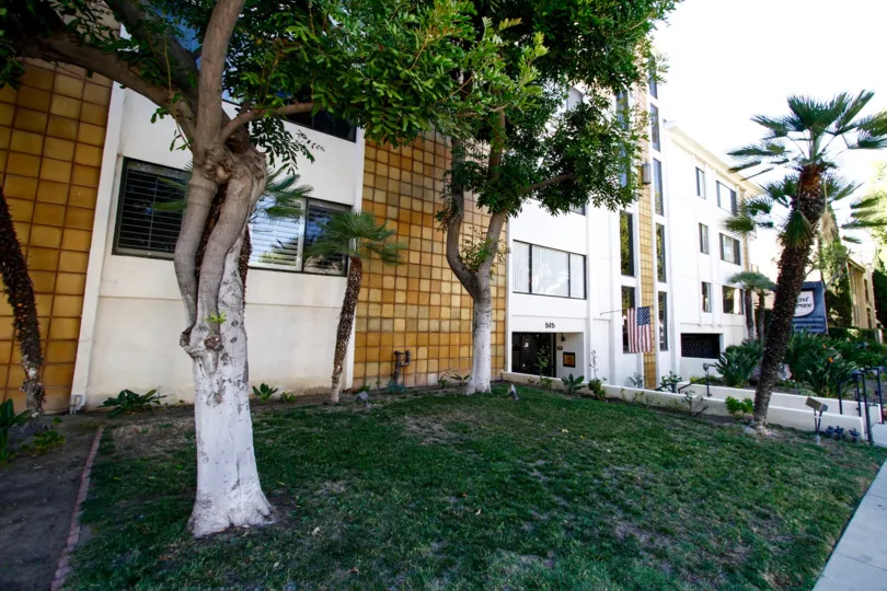 The landscaping around 515 N Kenwood St in Glendale California