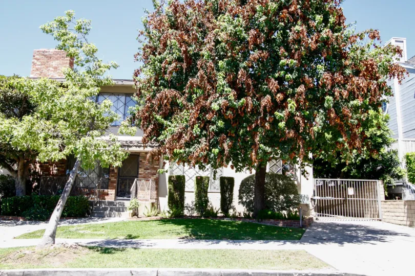 The view of 529 South St in Glendale California