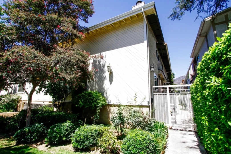 The landscaping at 537 W Stocker St