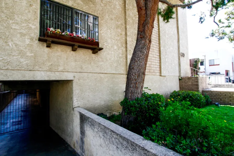 The landscaping around 610 N Isabel St