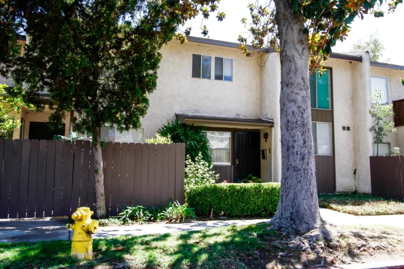 The landscaping seen around 818 E Acacia Ave
