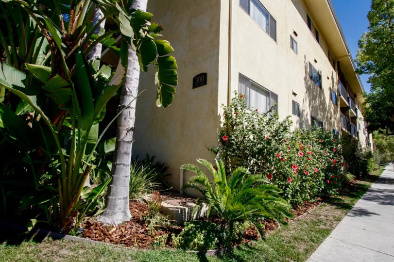 The landscaping around Colonial Homes in Glendale California