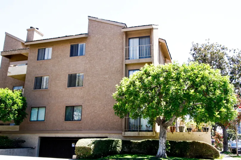 The trees in front of the Fairview Gardens