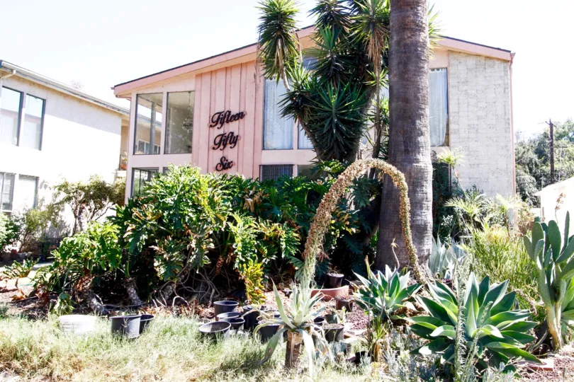 The landscaping around Fifteen Fifty Six