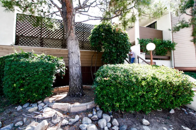The landscaping around the Glendale Woods