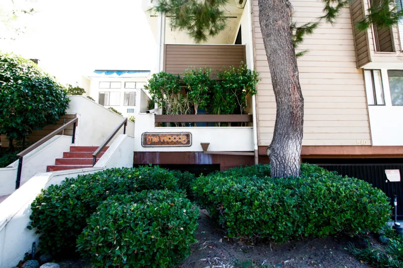 The shrubs outside of Glendale Woods in Glendale California