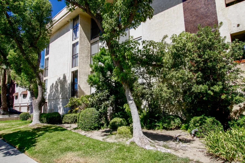 The landscaping at the Oak Louise in Glendale California