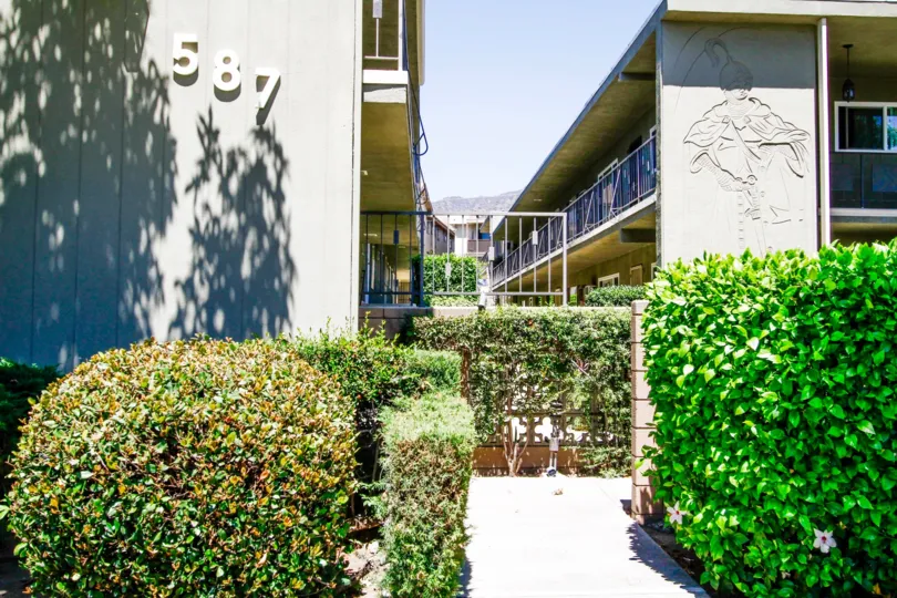 The hedges around the Southwood Condominiums
