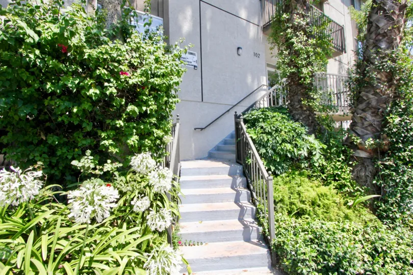 Beautiful Manhattan Villas, surrounded by greenery, at Hancocok park