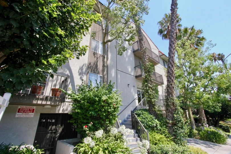 The gardens and trees surrounding Manhatten Villas on a sunny day