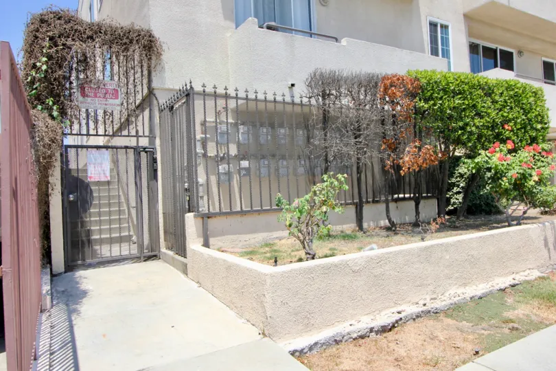 An entrance of the house in Rosewood Garden but the creeper which was in the was damaged